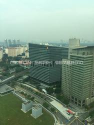 The Rochester Residences (D5), Apartment #103612352